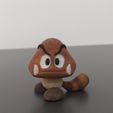 IMG_20201221_195117_1.jpg The goomba