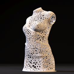 10009.jpg 3D file Woman Torso・Design to download and 3D print