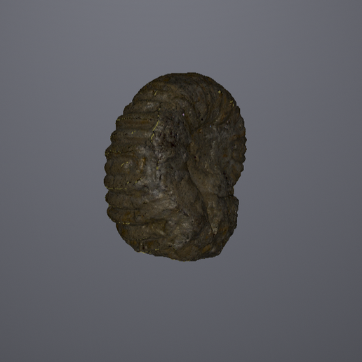 Screenshot-2024-09-10-102743-Copia.png Fossile d'ammonite