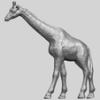 08_TDA0602_GiraffeA01.png Free 3D file Giraffe・Object to download and to 3D print, GeorgesNikkei