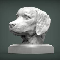 Golden_retriever1.jpg Файл 3D Golden retriever 3D print model・Дизайн 3D-печати для загрузки3D