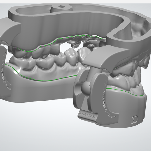 Screenshot_18.png 带功能关节器接口的数字切面模型
