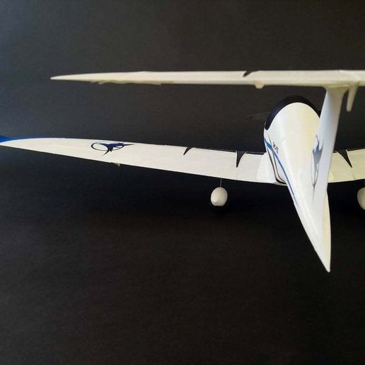 IMG_20200527_145251.jpg Kit FPV pour l'avion imprimé 3D Eclipson Model D