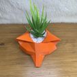 IMG_0388.jpeg METAMASK FOX PLANTER POT