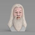 untitled.1748.jpg Dumbledore from Harry Potter bust for full color 3D printing