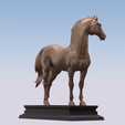 0010.png Marwari horse