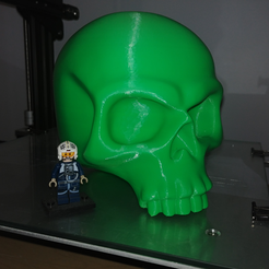 Crânio à escala heróica 28mm