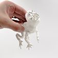 IMG_4440.jpg Rage face Flexi Toad Frog articulated print-in-place no supports Meme
