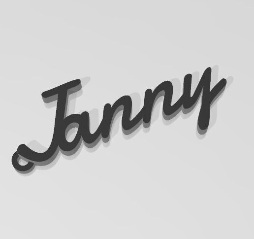Janny 3D model