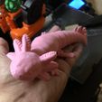 Axolotl articulé, niteowl