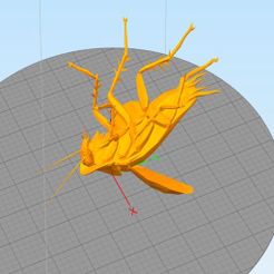 roach.JPG Fichier 3D gratuit Radroach・Objet pour impression 3D à télécharger