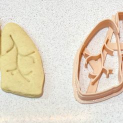 WhatsApp-Image-2022-06-02-at-9.08.13-PM-1.jpeg Fichier STL Cookie cutter Organe humain poumons・Objet pour impression 3D à télécharger