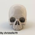 product_image_14564.jpg Human Skull
