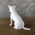 IMG-20240506-WA0023.jpg Jack Russell Low Poly