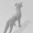 4.png Braco Dog breed 3d model