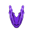 Werewolf Skull_down.stl Werewolf Skull2
