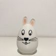 IMG-8713.jpg EASTER EGG RABBIT