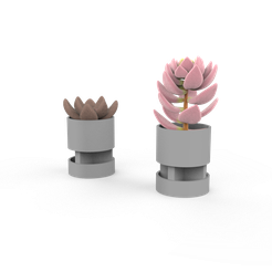 untitled.117.png MInimalist Vase - cactus suculent (2 types)