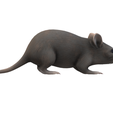 Mouse2.png Real Mouse