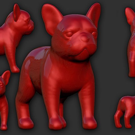 French Bulldog