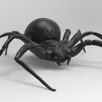 untitled.47.jpg spider