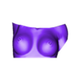 Curvy Vase-2_1.stl Archivo STL Florero Curvey lady, o soportes estacionarios.・Objeto para impresora 3D para descargar