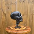 Mummy-Head-Display-1.jpg Mummy Head Display