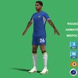 Colwill_8.jpg 3D Rigged Levi Colwill Chelsea 2024