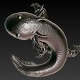 a1.jpg salamander