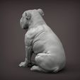 English-bulldog3.jpg 3D file English bulldog 3D print model・Model to download and 3D print, akuzmenko