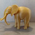 Elephant_print_sideview.jpg African Animal Collection #2
