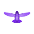 model.OBJ hummingbird
