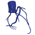 3.png 主动脉和冠状动脉 3D 模型 - 6 件装