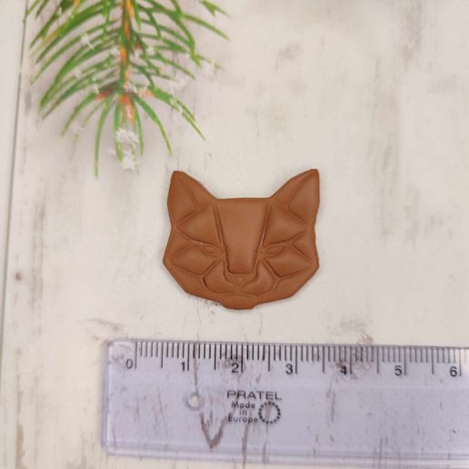 373482904_6766781223357682_4377515107134547467_n.jpg Wild cat