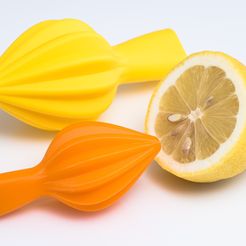IMGP0629.jpg Free STL file Citrus Juicer・3D print design to download