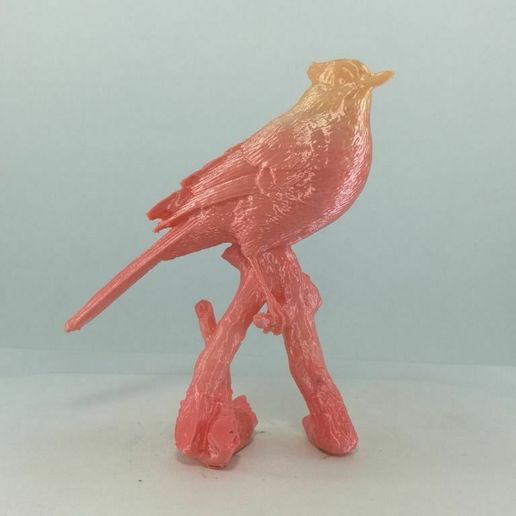 20180719163504.jpg a bird