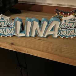 First name LED TO ASSEMBLE Lina OM