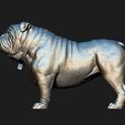 11.jpg Bulldog model 3D print model