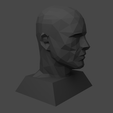 untitled2.png Low Poly Man Bust -  Glasses and Cap Real Size Display