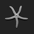 06_starfish-4-3d-print-aquarium-3d-model-obj-fbx-stl.jpg Starfish 4 - 3D Print - Aquarium - Sea Life