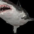 s8.jpg SHARK, DOWNLOAD Shark 3D modeL - Animated for Blender-fbx-unity-maya-unreal-c4d-3ds max - 3D printing SHARK SHARK FISH - TERROR  - PREDATOR - PREY - POKÉMON - DINOSAUR - RAPTOR