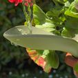 Foto-Etsy2.jpg Leaflow | 3D 浇水漏斗 | 数字文件 | 3D 漏斗 | 3D 数字文件 | 3D stl 文件 | 3D 模型 STL | 园艺 | 3D 水漏斗