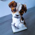 chiot-porcelaine-1.jpg Porcelain puppy 🐕