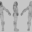 Wireframe.png Aquaman Lowpoly Rigged