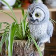 Owl-2.jpg Owl themed planter/desk organizer/item holder