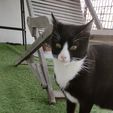 IMG_20240128_112908.jpg Gamelle pour chat