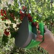 0E0D7B25-8B8E-49EA-A236-A66B9ACF96AB.jpeg Berry picker, berry comb, berry harvester, handheld berry harvester, garden tools, garden hack, blueberry picker, 3D print berry picker, garden harvester