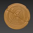 SE1.jpg Wood Slice Stump Cut trunk Tree cross-section