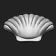 4.jpg Shell 11 - 3D Print - Aquarium