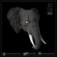 4.jpg Archivo 3D Elephant key holder・Design para impresora 3D para descargar